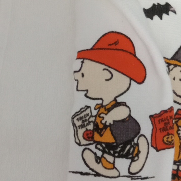Rae Dunn  Peanuts Towel Halloween - Picture 4 of 6